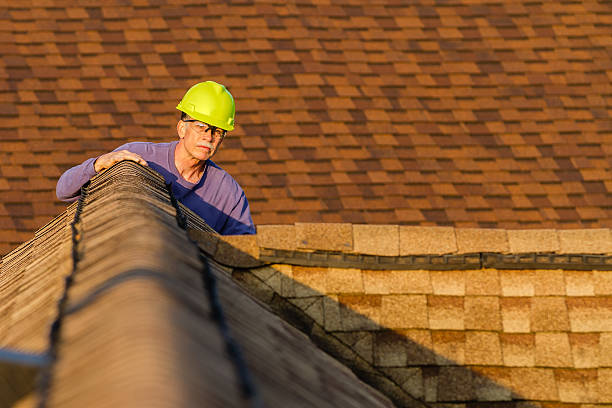 Roof Gutter Cleaning in Biggs, CA